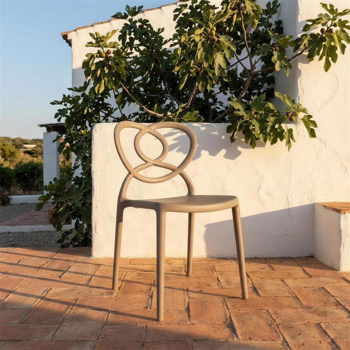 Silla Venus tortola sola en una terraza de barro cocido de una casa mediterranea, junto a un muro encalado y una higuera